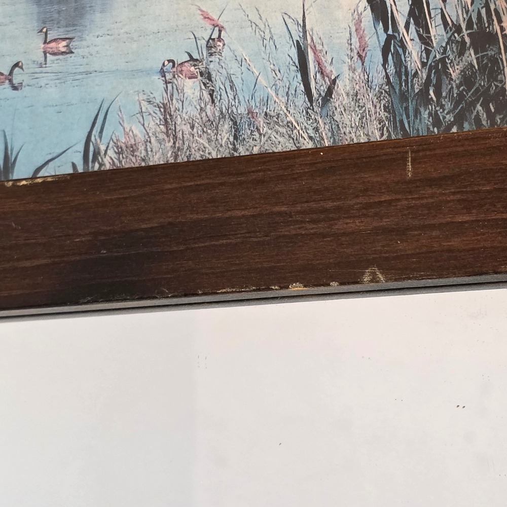 Vintage Rustic Wood Wall Mirror Scenic Duck Nature Print Spindle Frame Rosettes - Picture 9 of 16